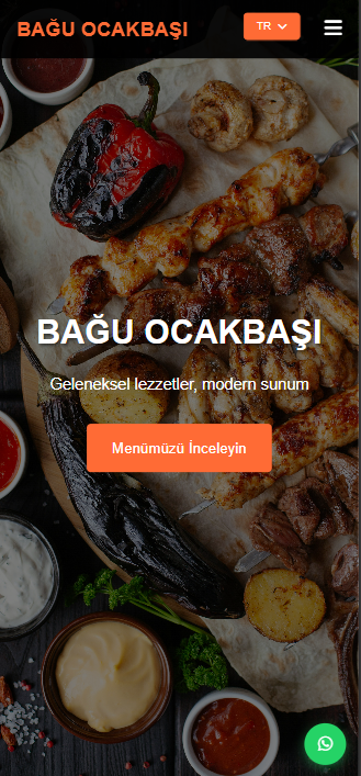 Demo Website 2